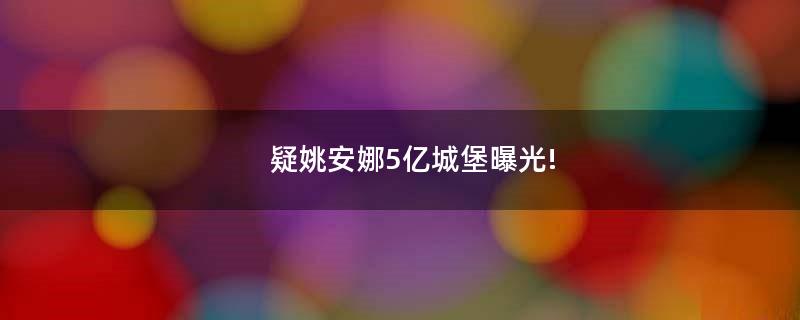 疑姚安娜5亿城堡曝光!