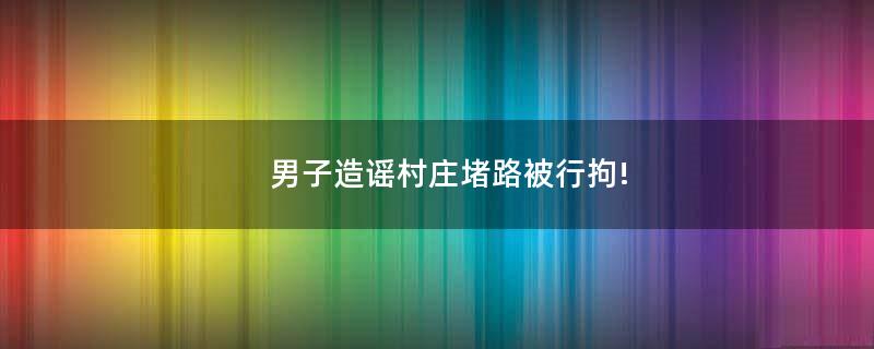 男子造谣村庄堵路被行拘!