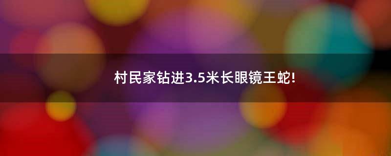 村民家钻进3.5米长眼镜王蛇!