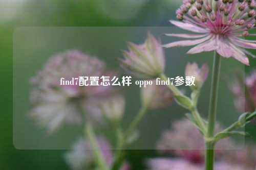 find7配置怎么样 oppo find7参数