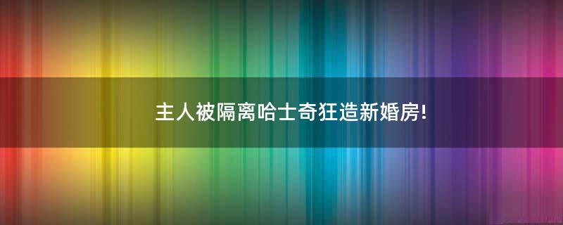 主人被隔离哈士奇狂造新婚房!