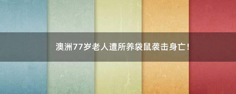 澳洲77岁老人遭所养袋鼠袭击身亡！