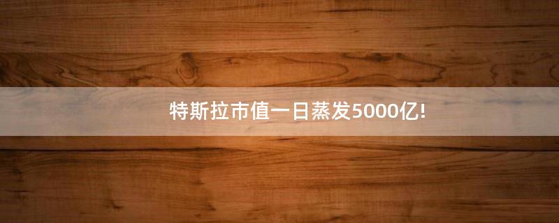 特斯拉市值一日蒸发5000亿!