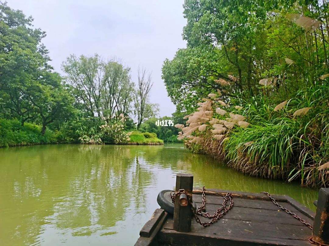 西溪湿地免费嘛 西溪湿地免门票吗