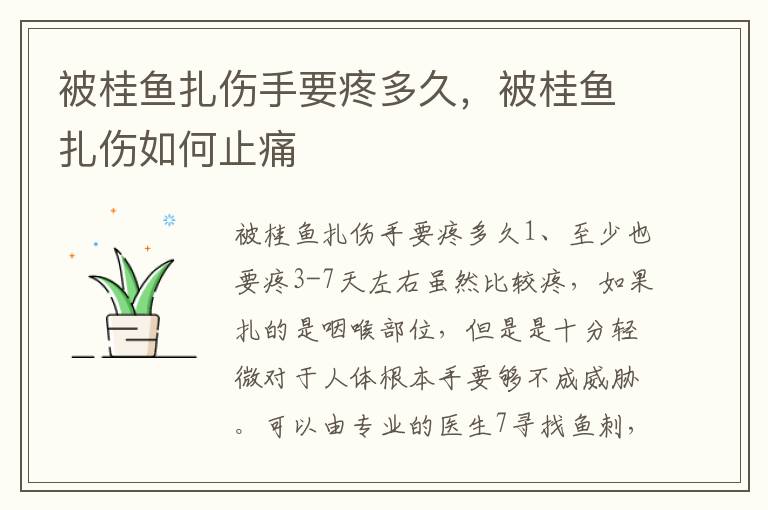 被桂鱼扎伤手要疼多久，被桂鱼扎伤如何止痛