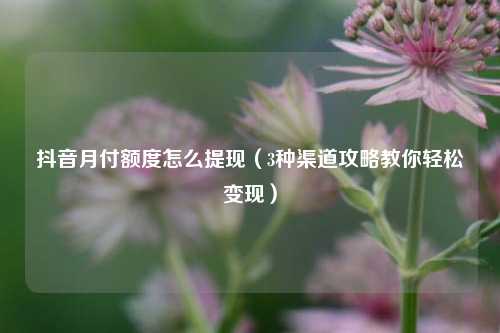 抖音月付额度怎么提现（3种渠道攻略教你轻松变现）